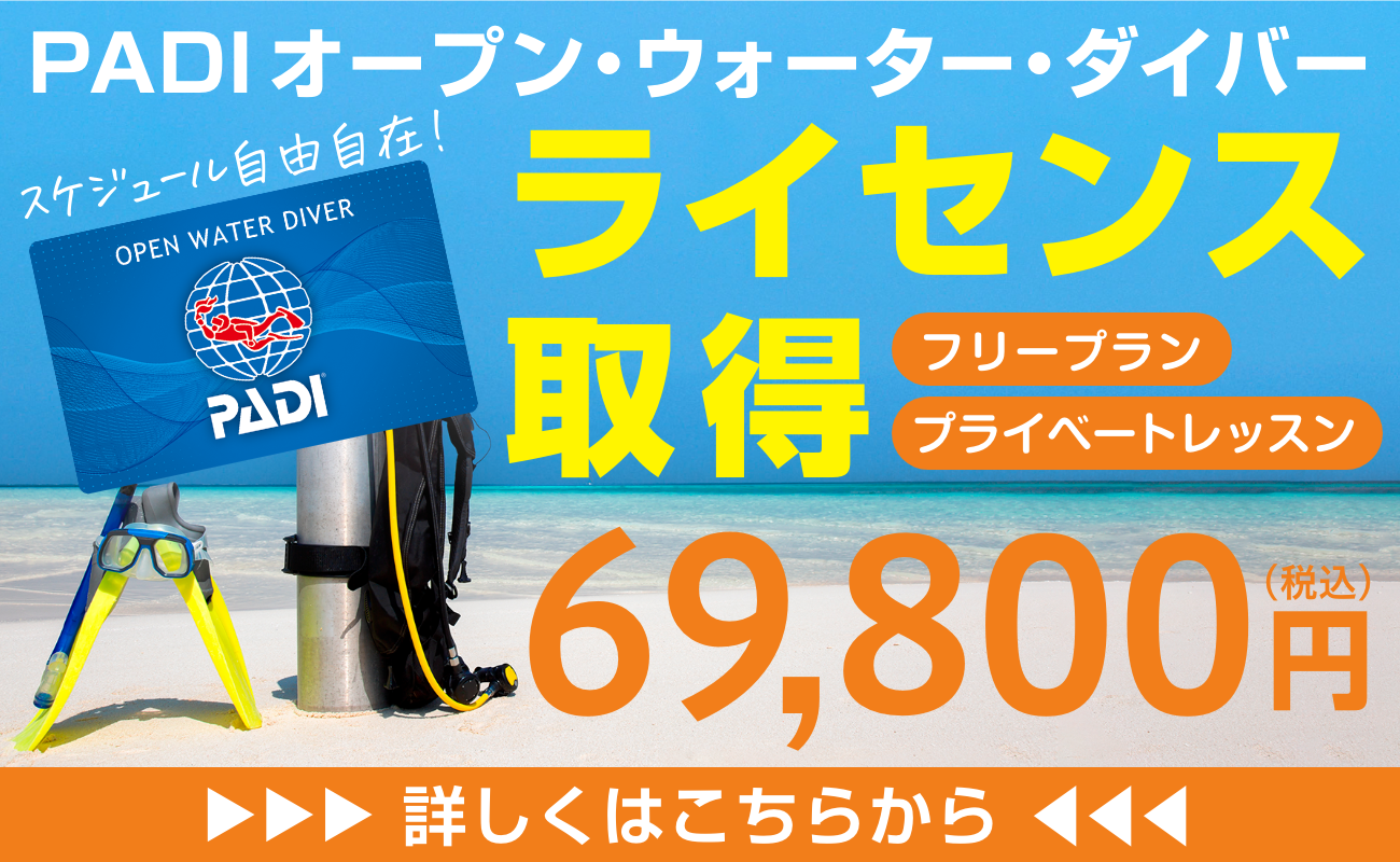 PADIオープン・ウォーター・ダイバー  スケジュール自由