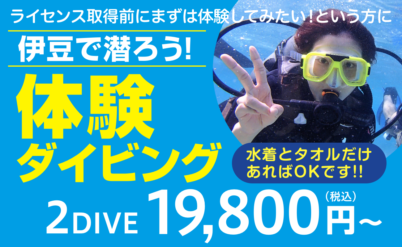 ライセンス取得前にまずは体験 体験ダイビング