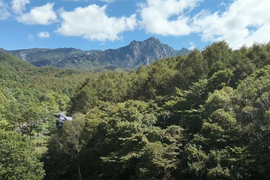 瑞牆山（みずがきやま）